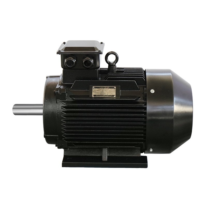 Heavy Duty Induction Motor Heavy Duty Induction Motor
