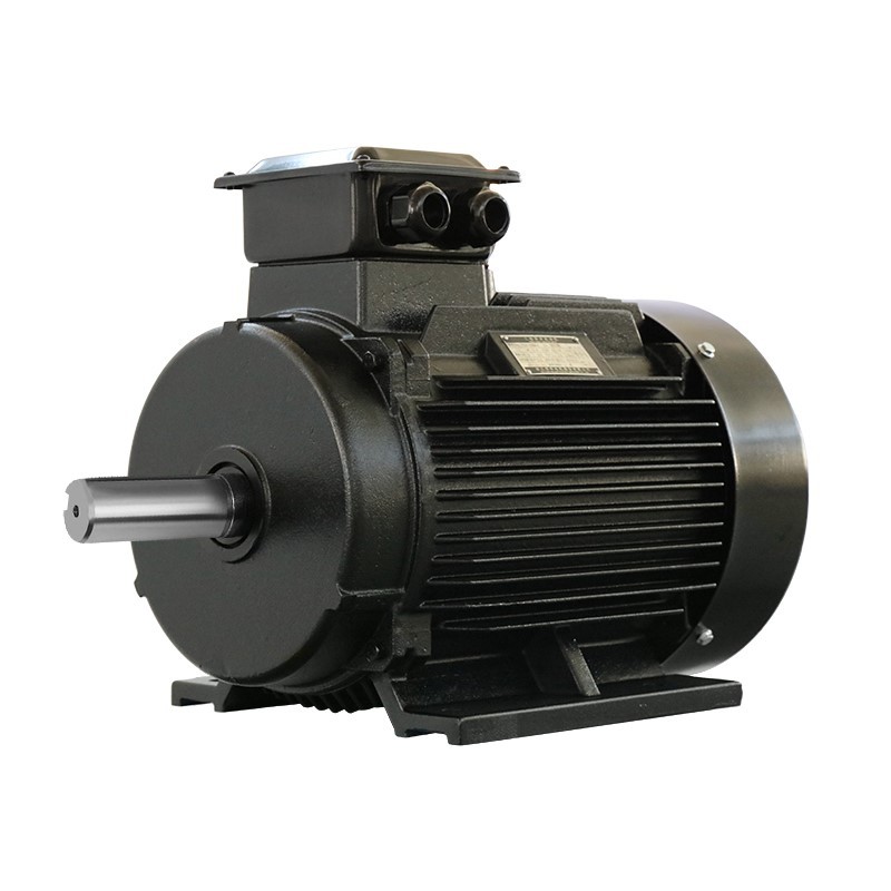 Heavy Duty Induction Motor Heavy Duty Induction Motor